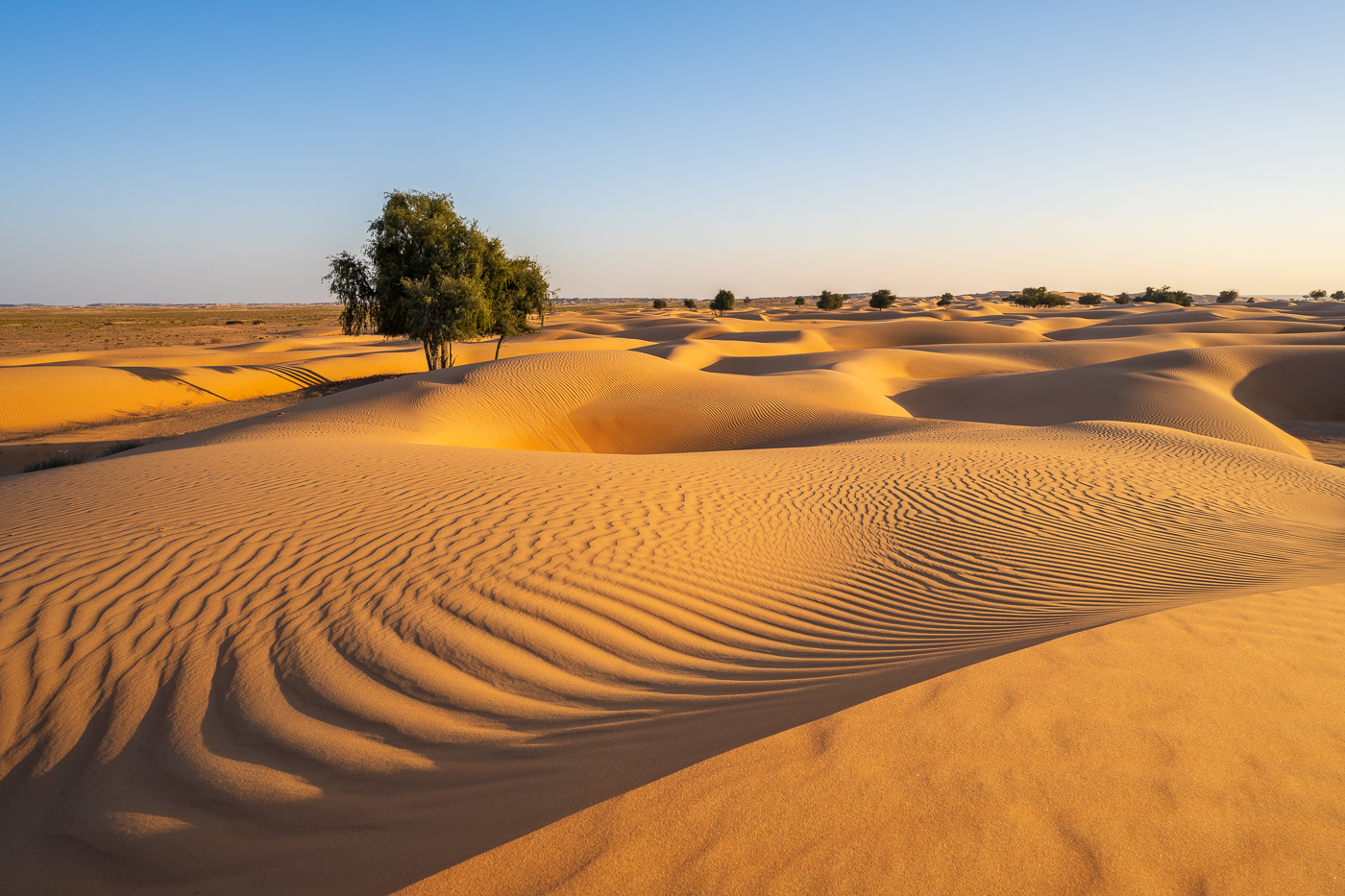 Wüste Sanddünen im Oman