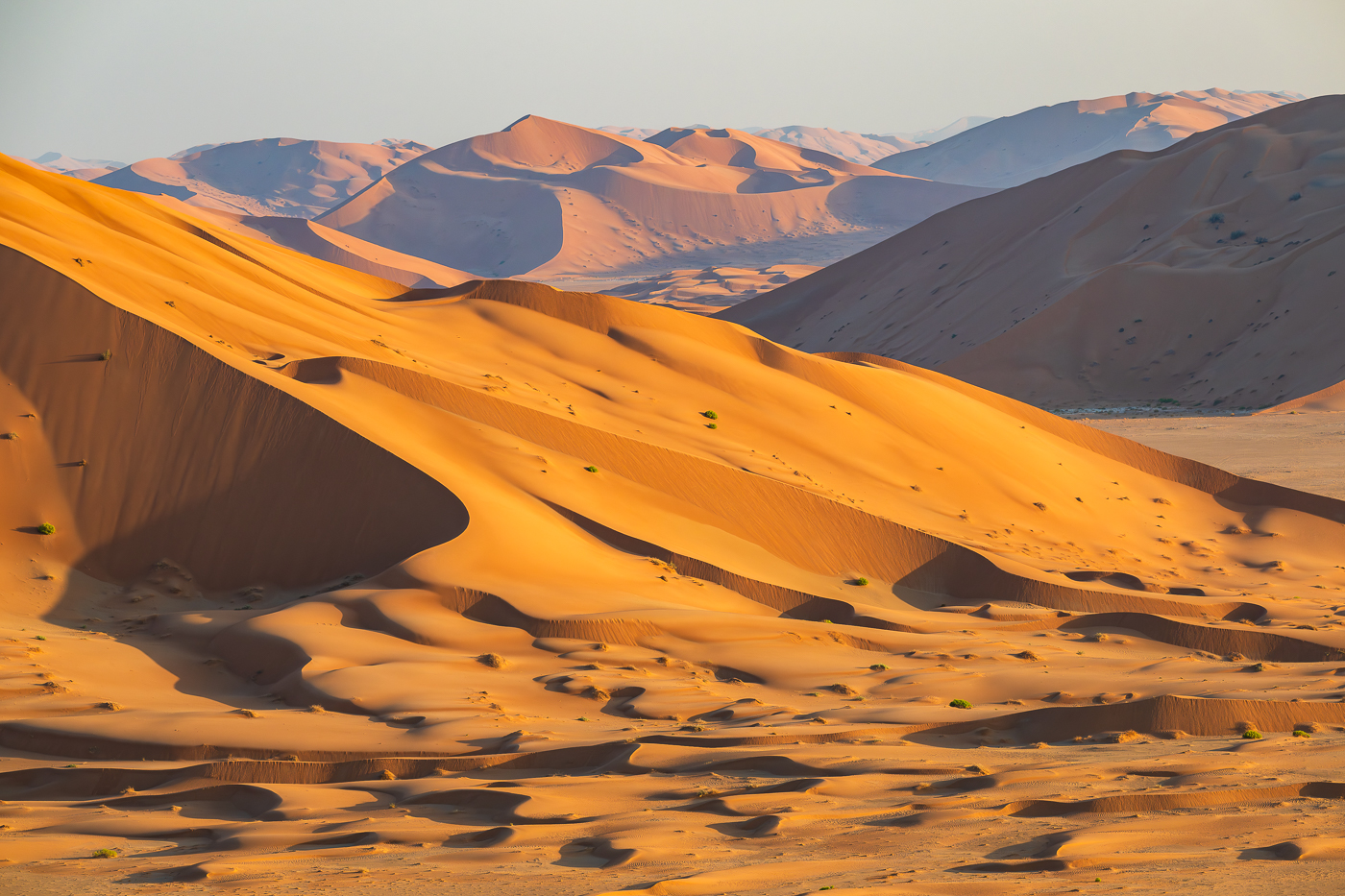 Wüste Rub Al-Khali, Oman