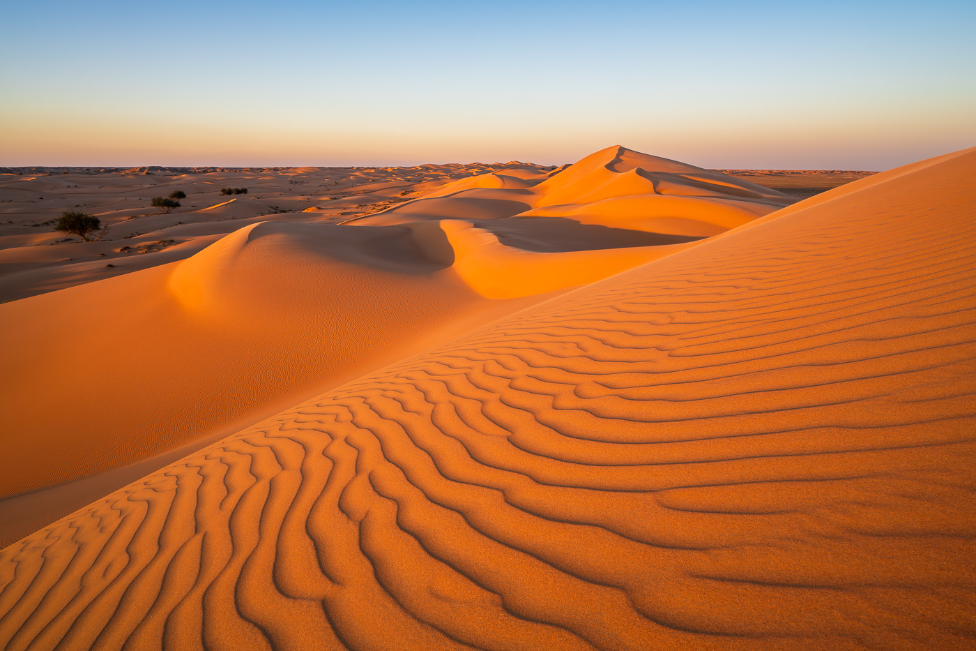 Wüste Sanddünen im Oman