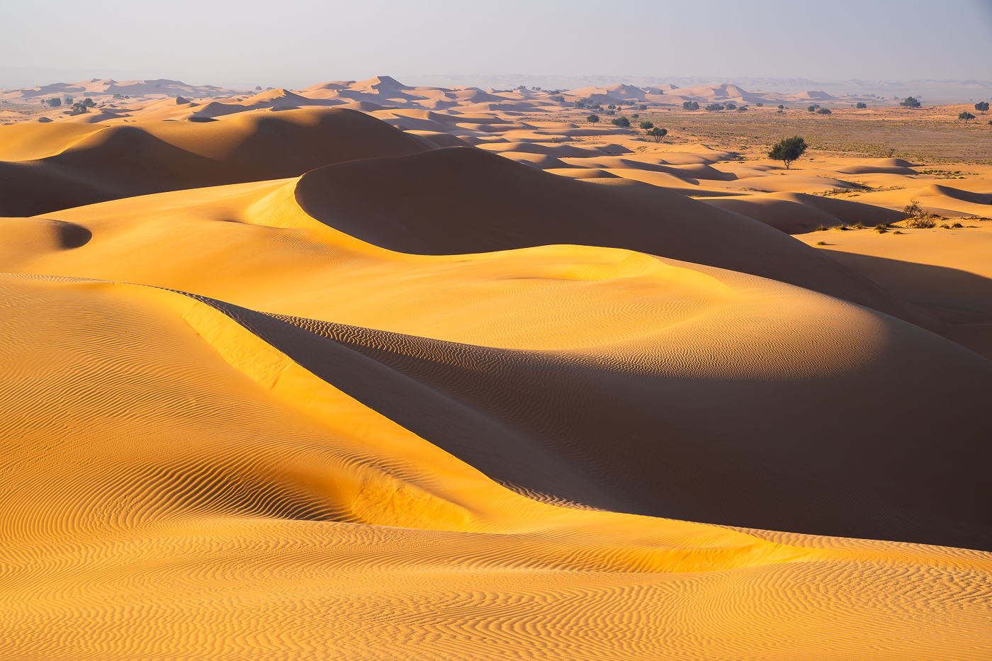 Wüste Sanddünen im Oman