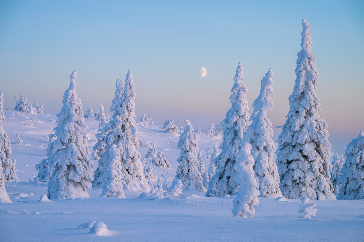 Mond über Winter Wonderland, Riisitunturi Nationalpark