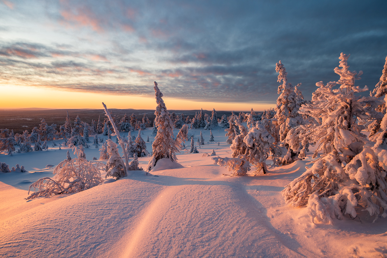 Warmes Licht verzaubert das Winter Wonderland