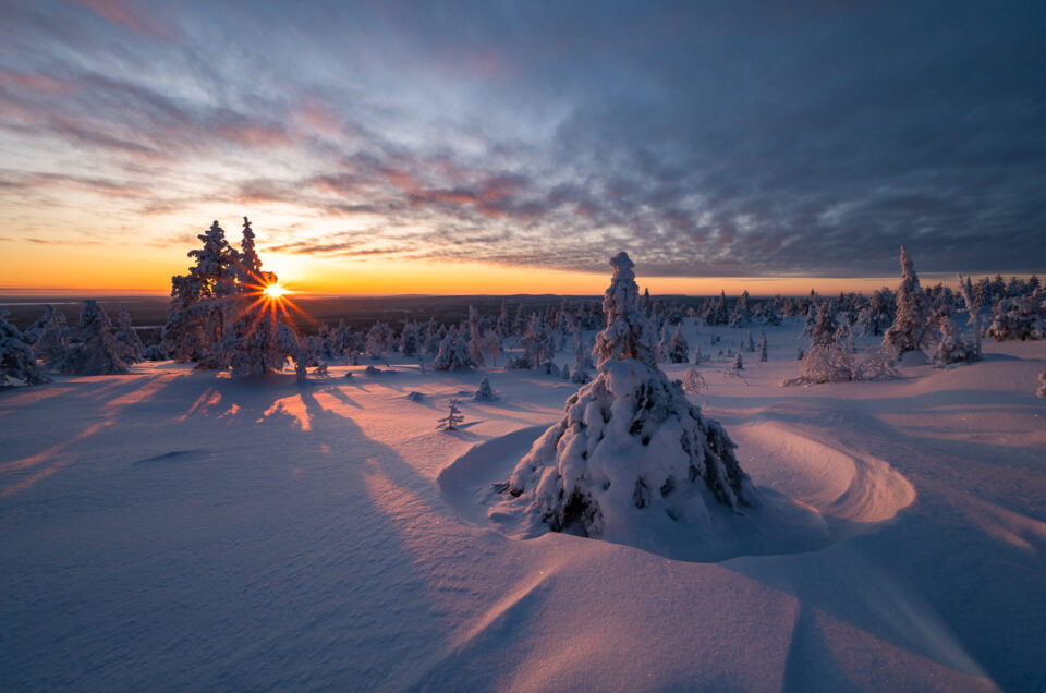 Verschneite Landschaft im Riisitunturi Nationalpark