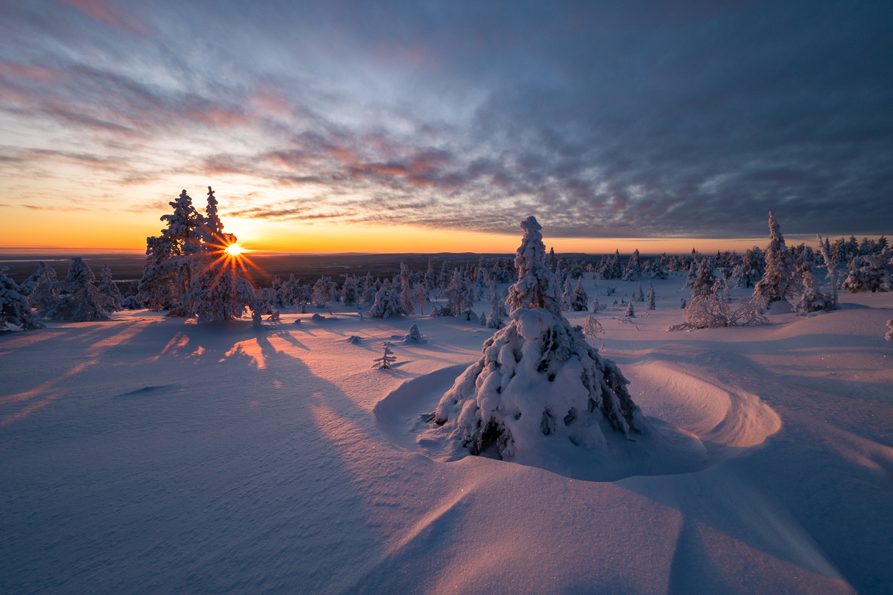 Verschneite Landschaft im Riisitunturi Nationalpark